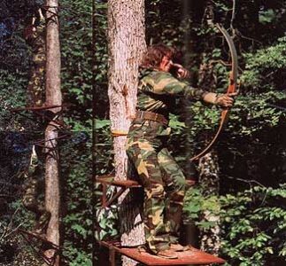 Build a Hunting Tree Stand Image